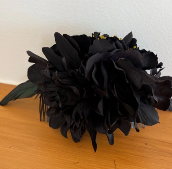 Royal Black Velvet